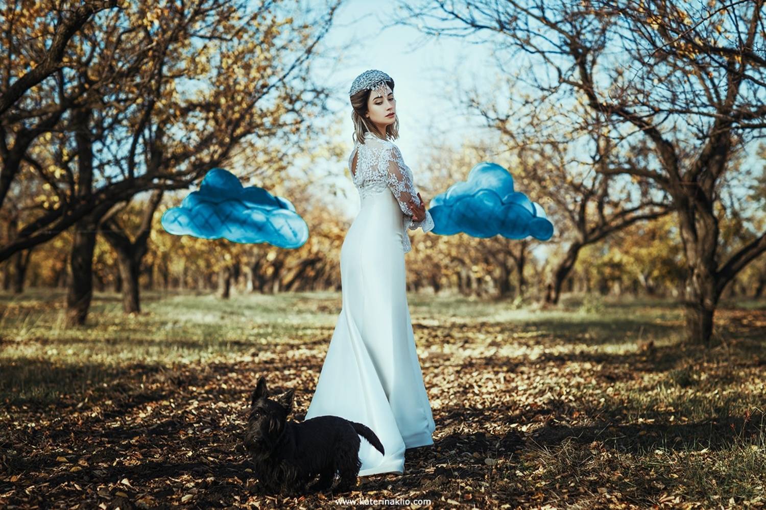 autumn, bride, dog, clouds, white, dress, surrealism, Катерина Клио