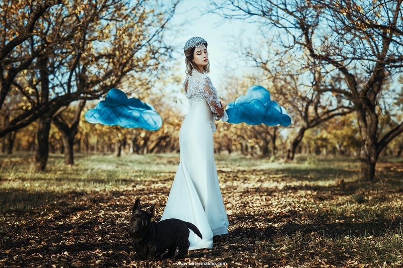 autumn, bride, dog, clouds, white, dress, surrealism Autumn Bride фото превью