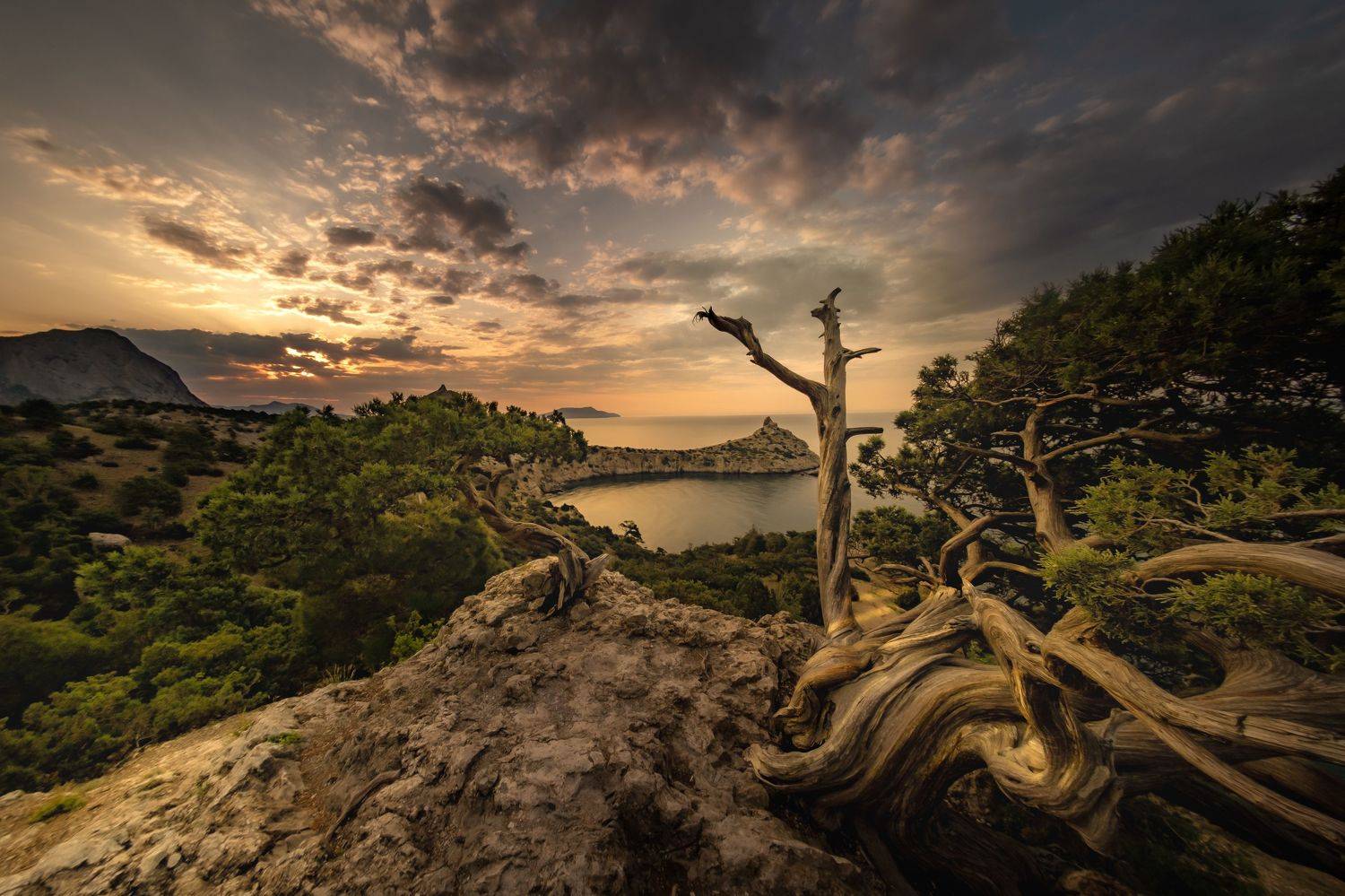 Крым , заказник Новый Свет Море, Разумов Александр