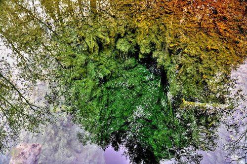 В тихом омуте