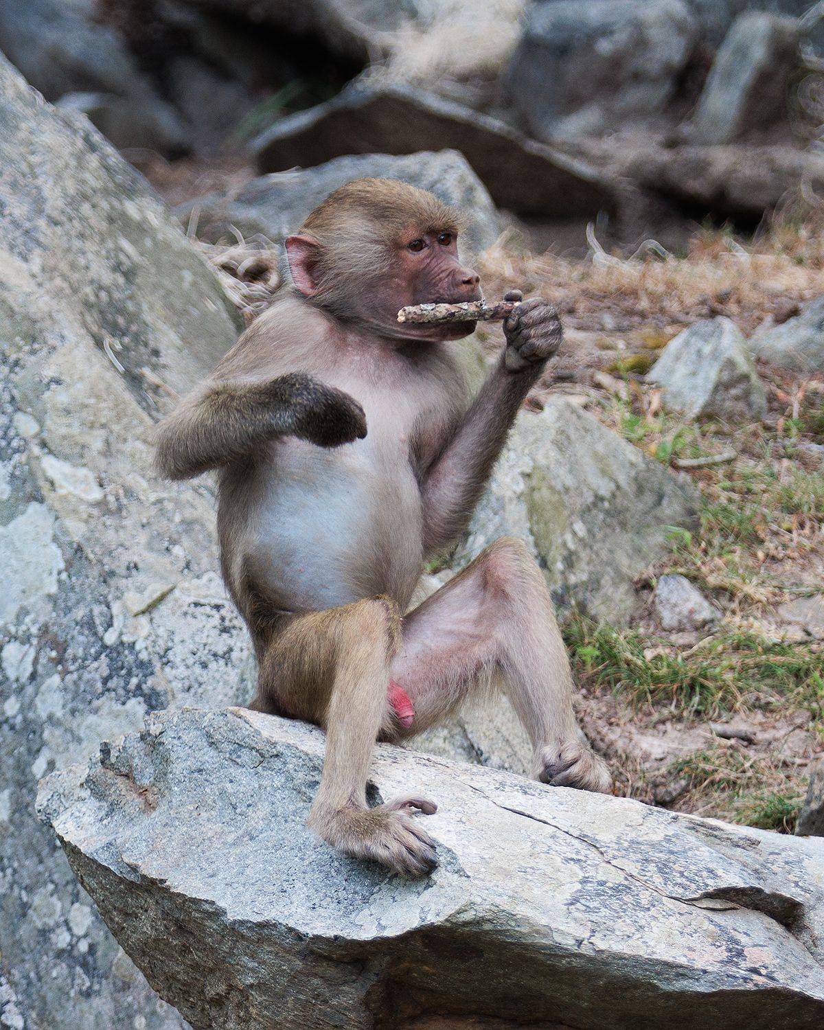 , Леонид Дьяченко