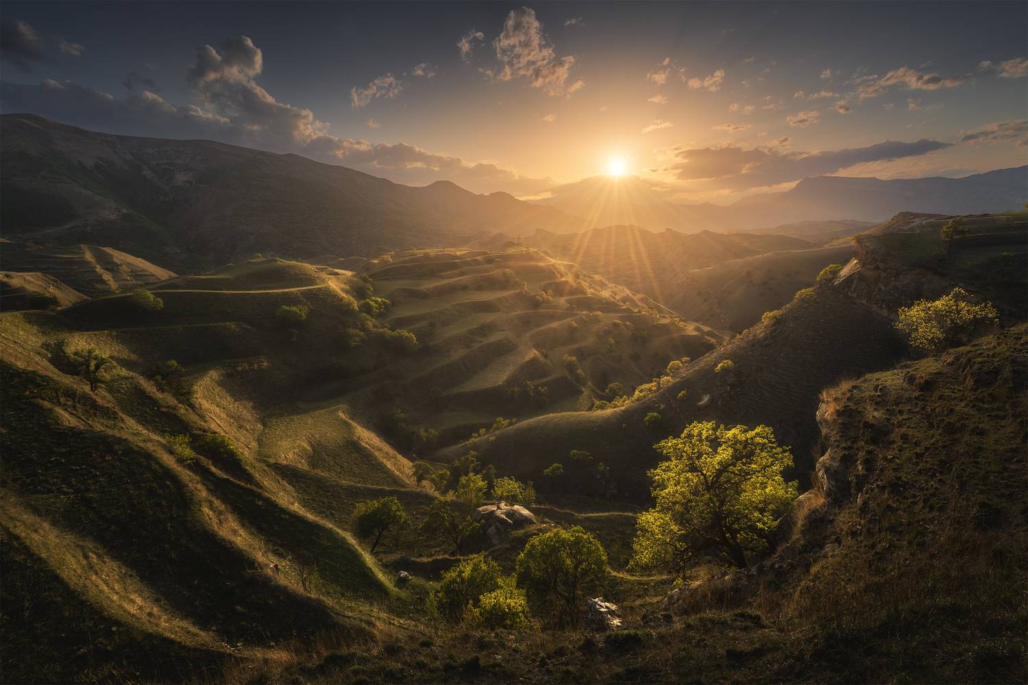 , Политова Анна