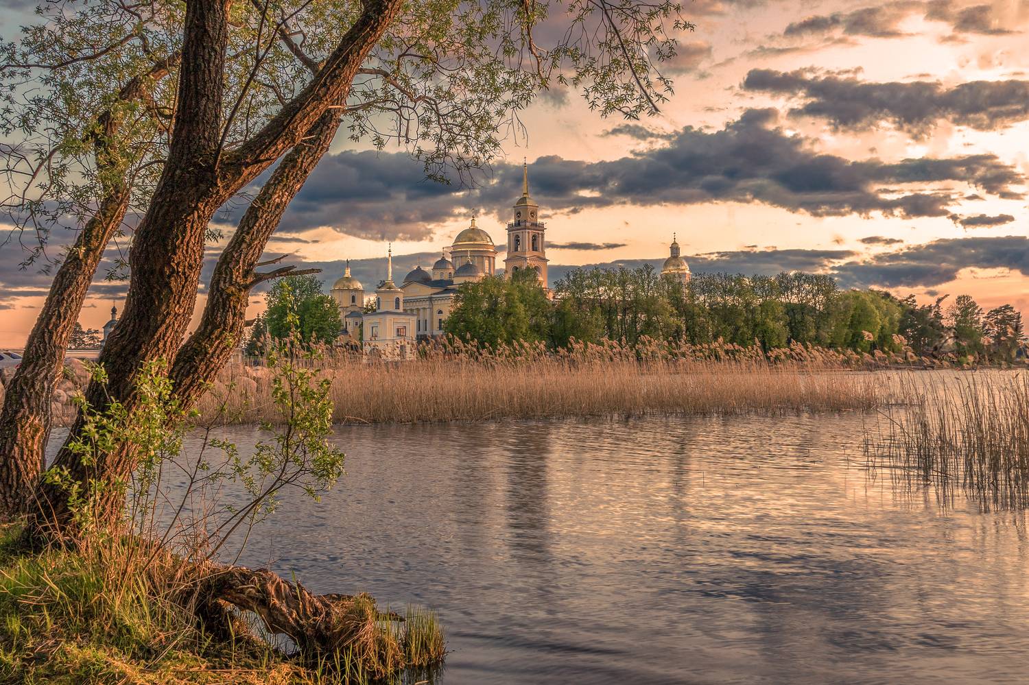 тверская, область, Елена Гусева