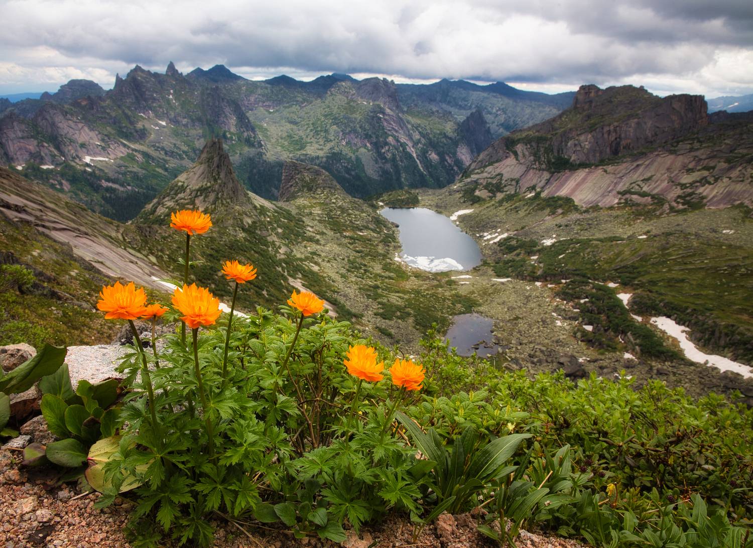 Жарки, Огоньки, Птица, Цветы, перевал, Озеро, Ергаки, горы, Саяны, парабола, Евгений Кожевников