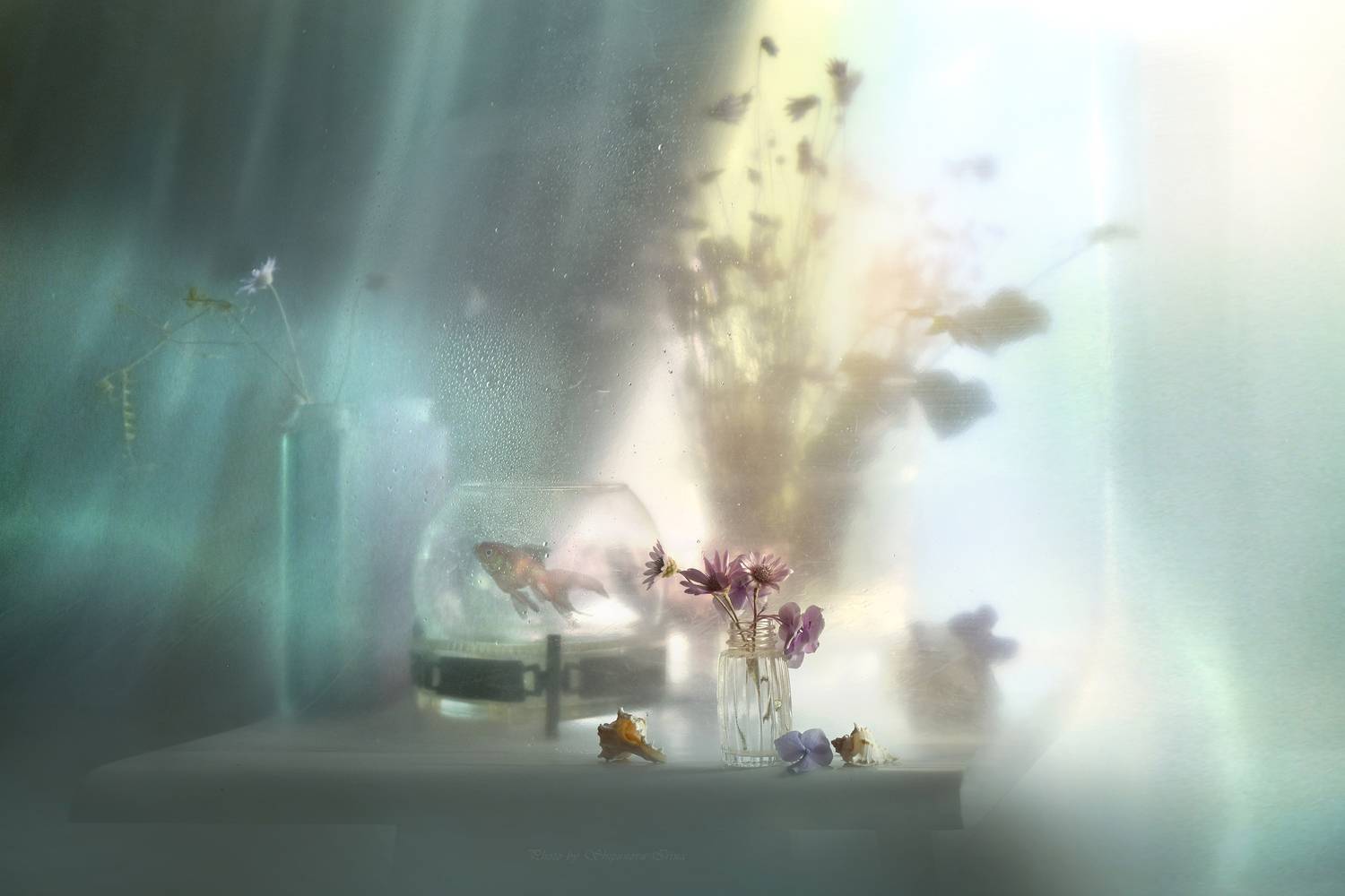 , Ирина Шипунова