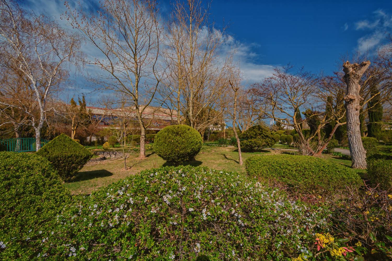 , Владимир Гамаюнов