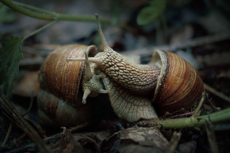 А если это любовь? фото превью