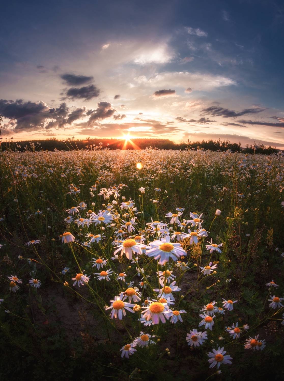 , Котов Андрей