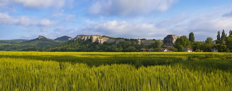 ***** фото превью