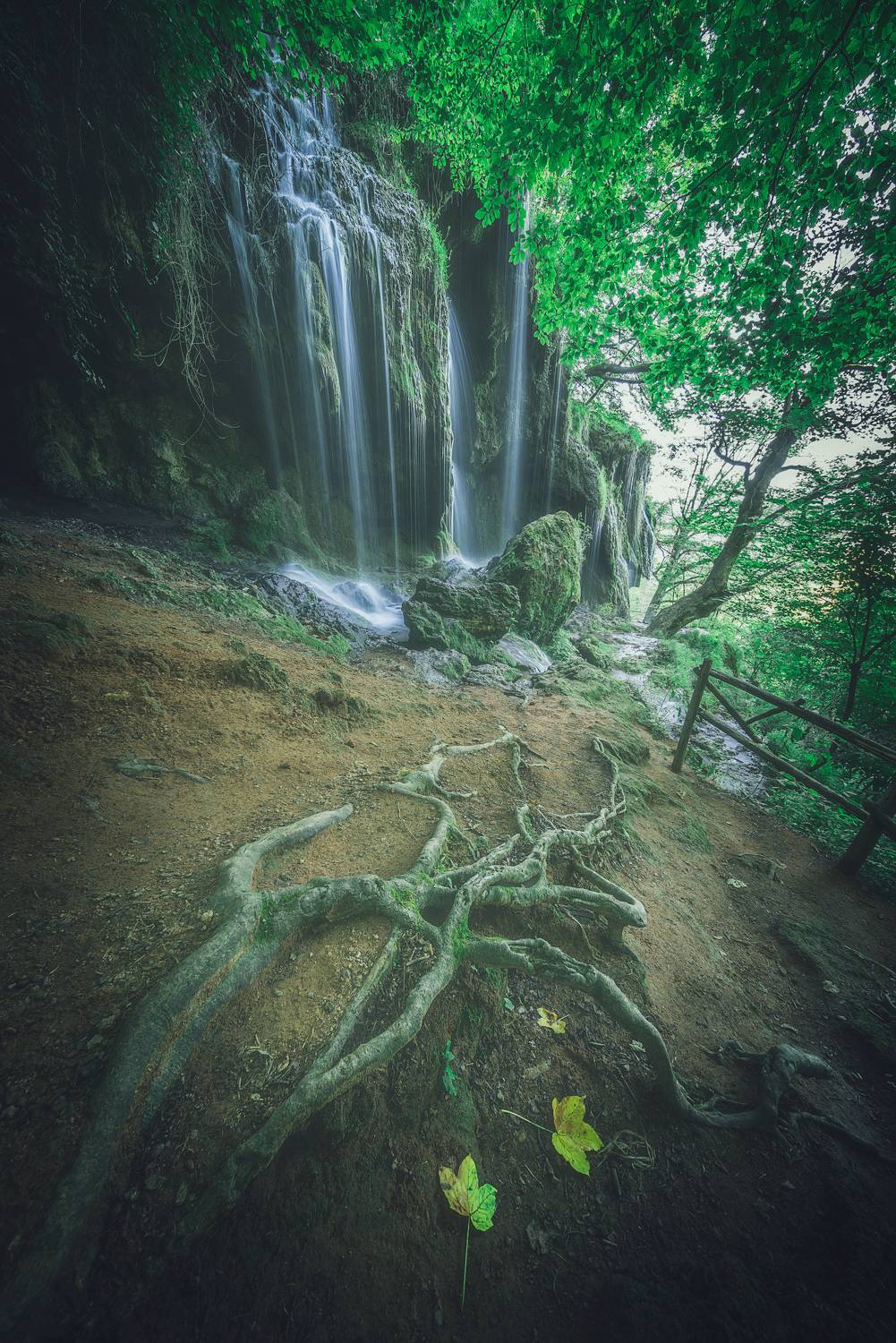 , Mariyana Atanasova - Lucero