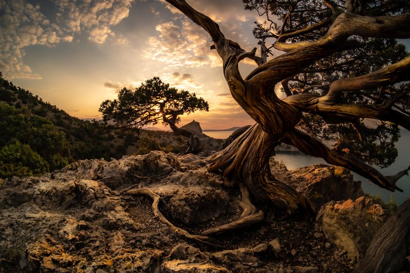 Над царским пляжем фото превью