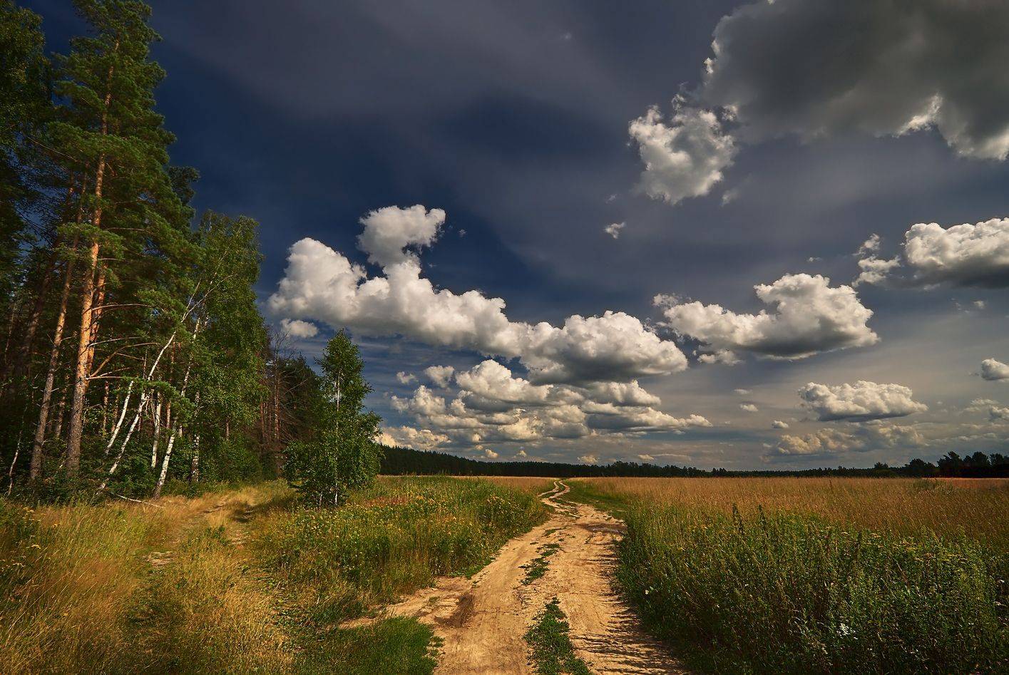 лес, опушка, дорога, поле, Сергей Аникин