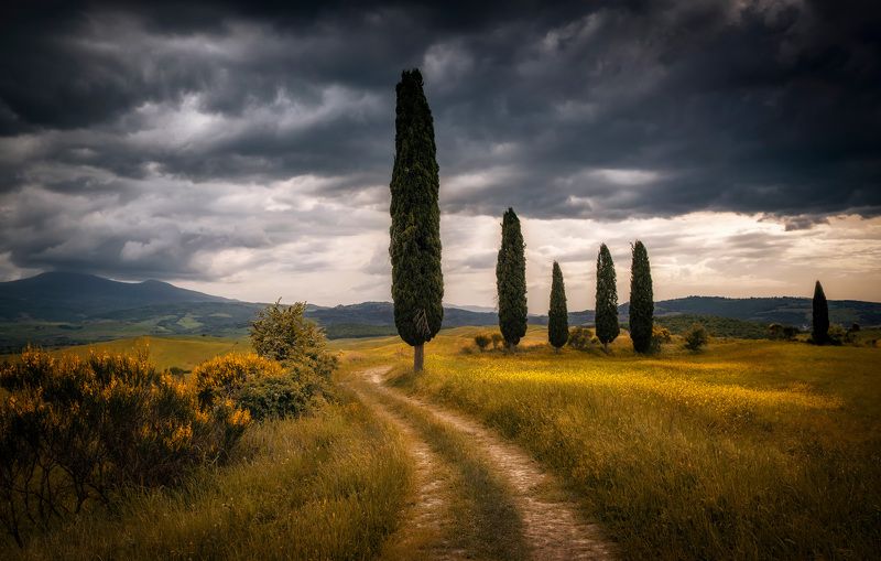 -- фото превью