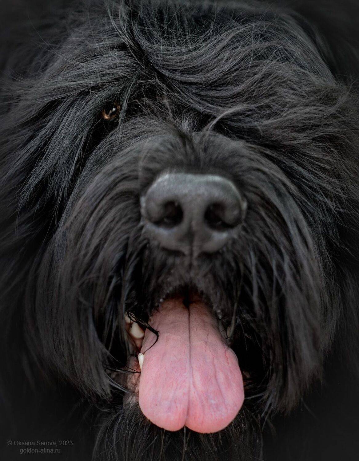 , Оксана Серова