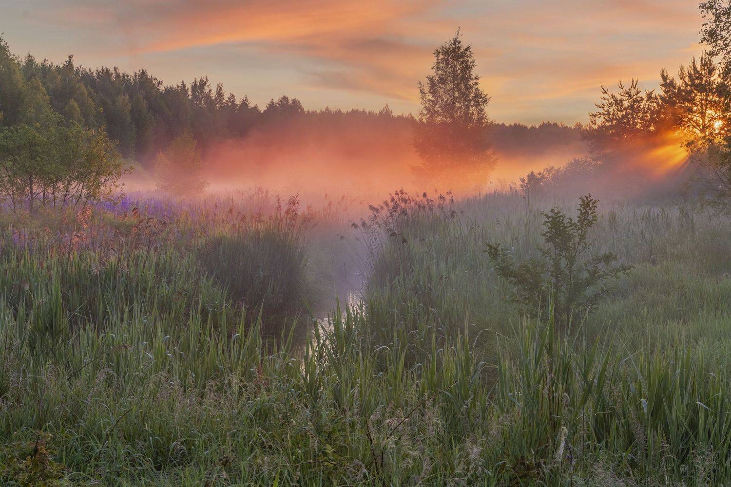 Фототуры с Владимиром Рябковым, #topnature #russpasibo #magic_shots #lovelyRussia #sunset_vision #exclusive_sky  #exclusive_shots #loves_russia2 #photoarena_nature #nature_sultans #nature_perfection #rsa_sky #rsa_sunset #photorussia #rsa_naturepics #sunse, Владимир Рябков