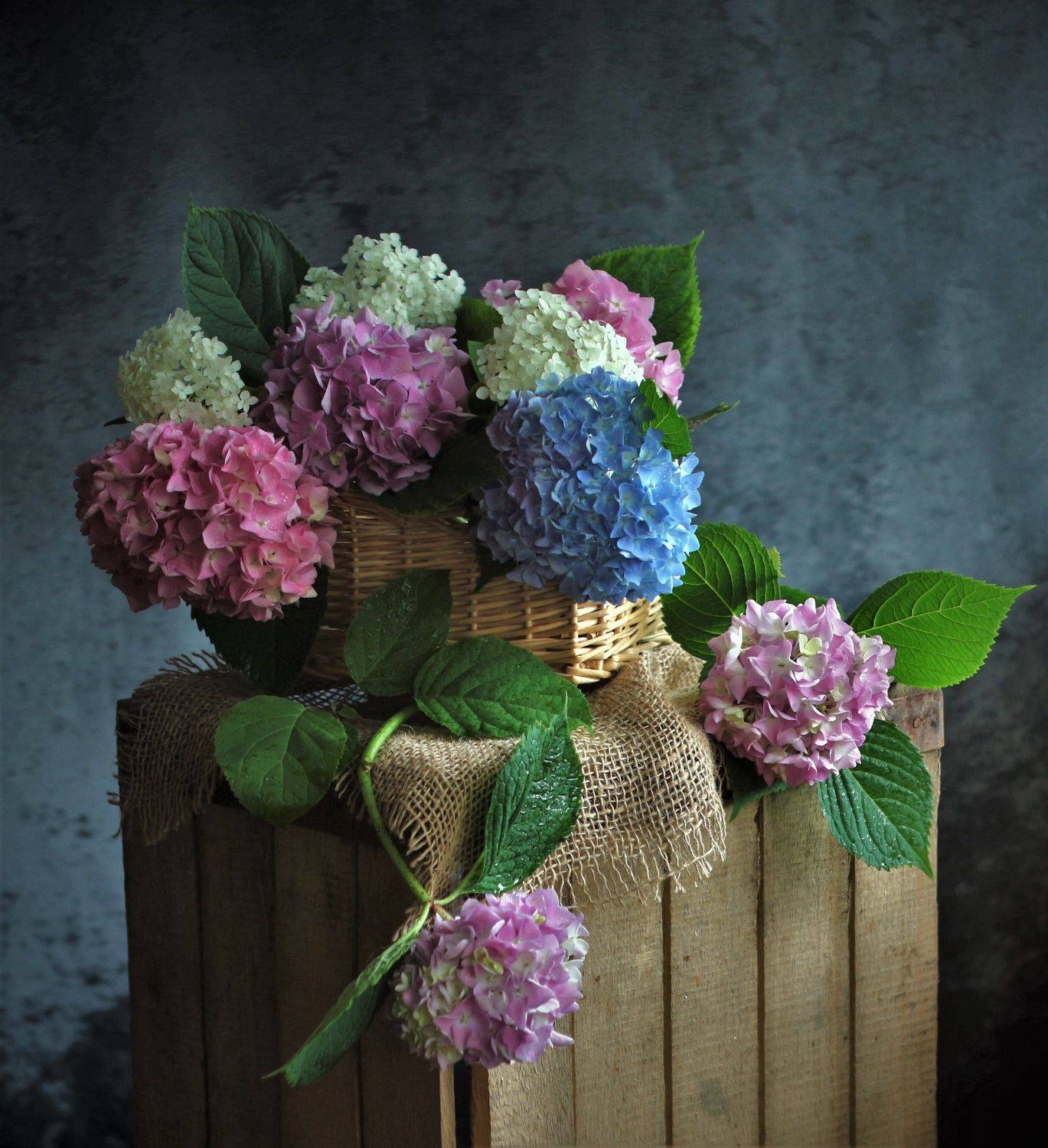 , Людмила Хрусталева*