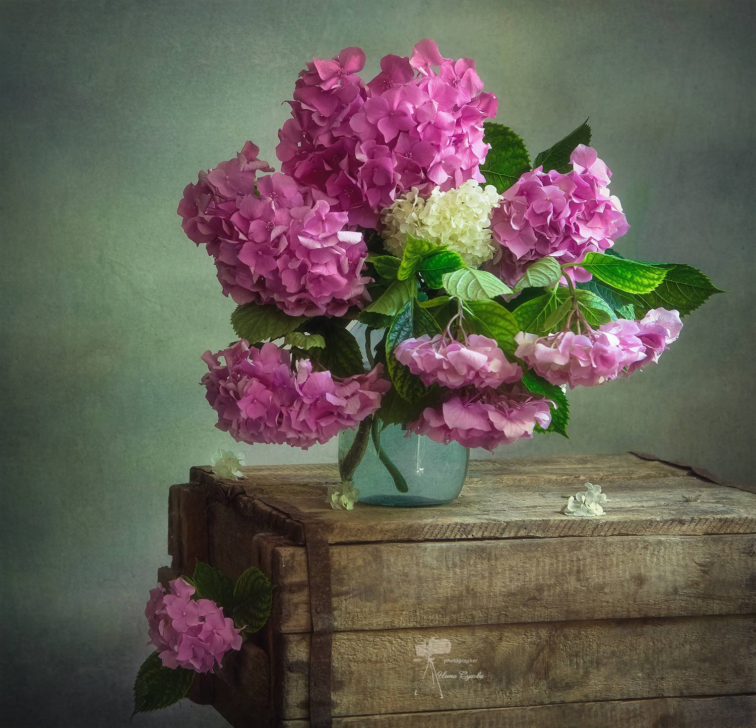 , Инна Сухова