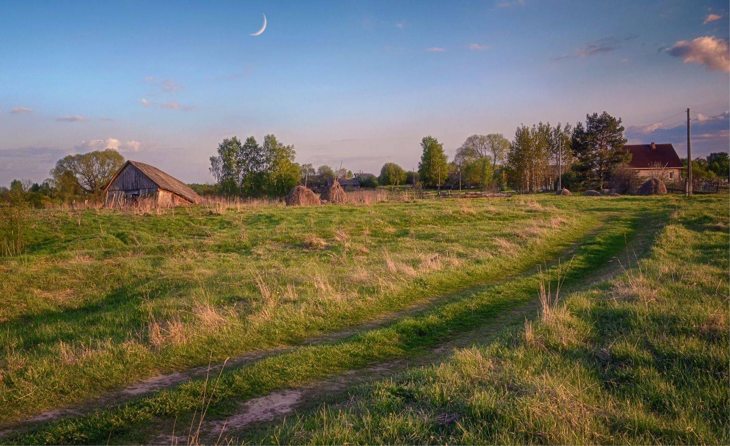 дорога копны дома, Вера Петри