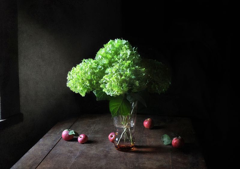 В тиши ночного сада фото превью