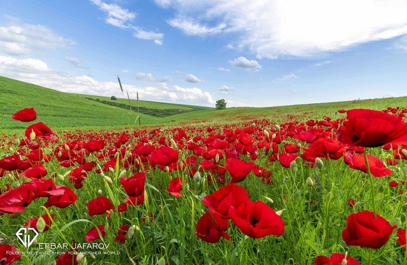 Ivanovka фото превью