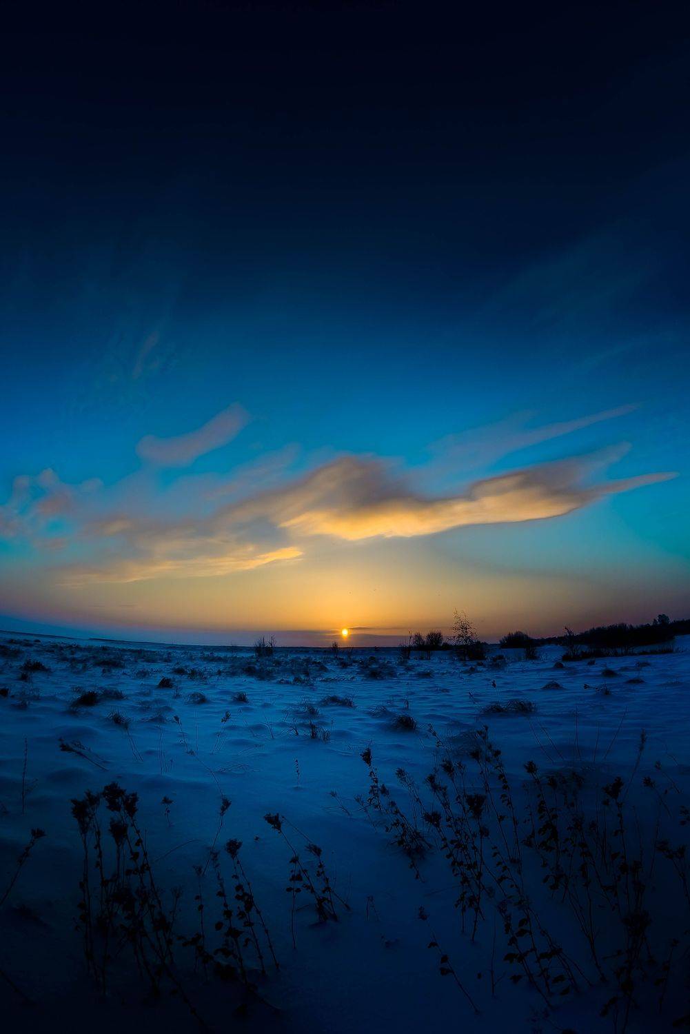 , Алексей Ильин