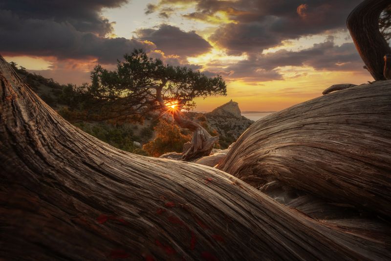 Рассвет в Новом Свете фото превью