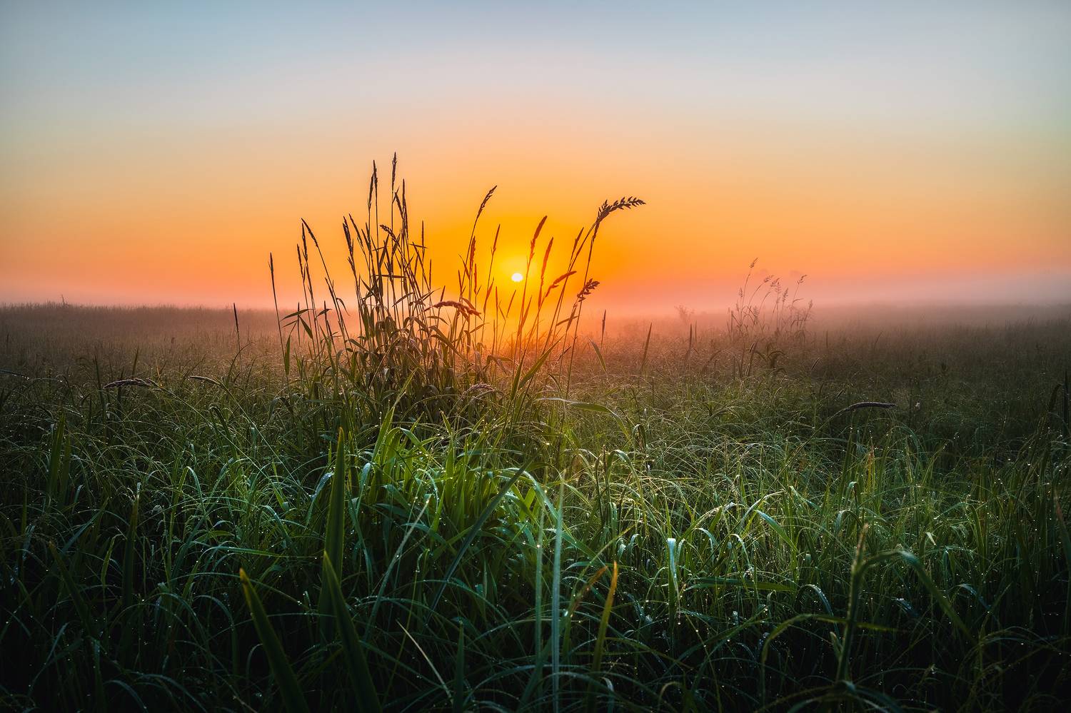 туман рассвет пойма луг роса полесье Беларусь, Владимир Баранов