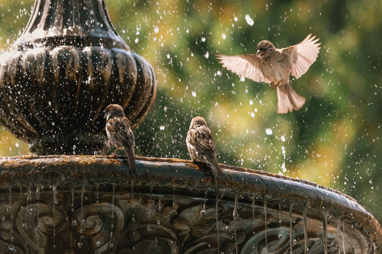 , Алиева Татьяна