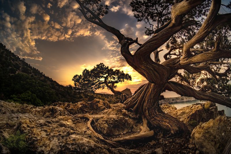 Над царским пляжем фото превью