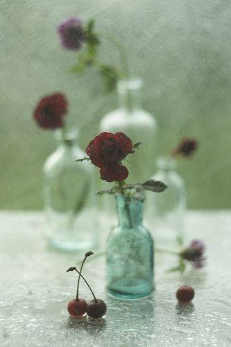 С розочкой.