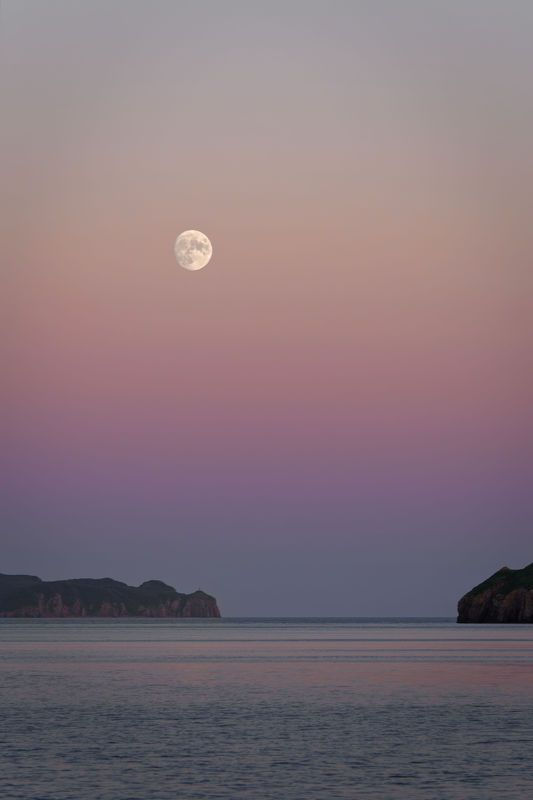 Королевство полной Луны фото превью