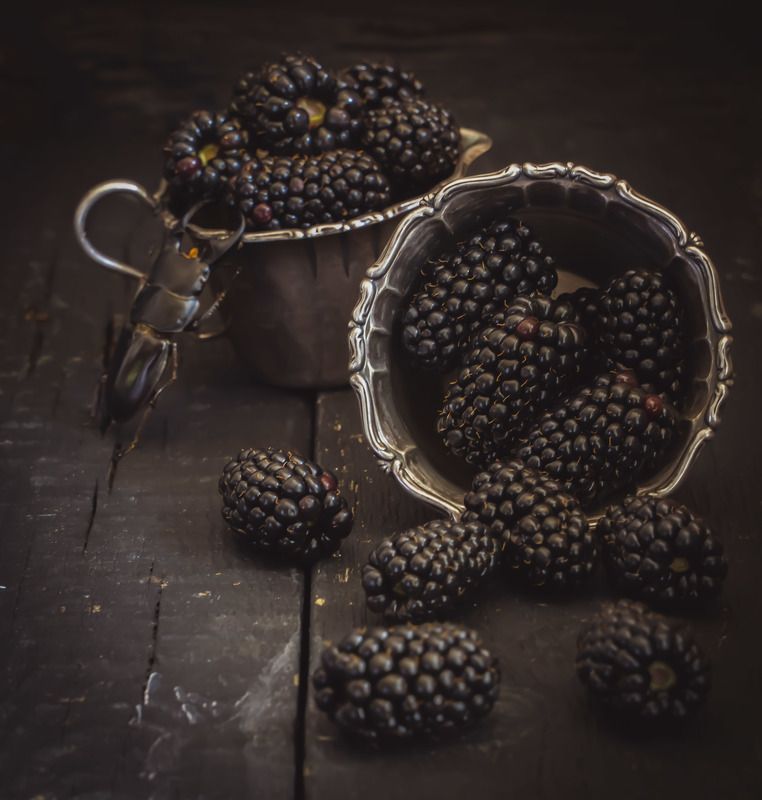 Жук и ежевика фото превью