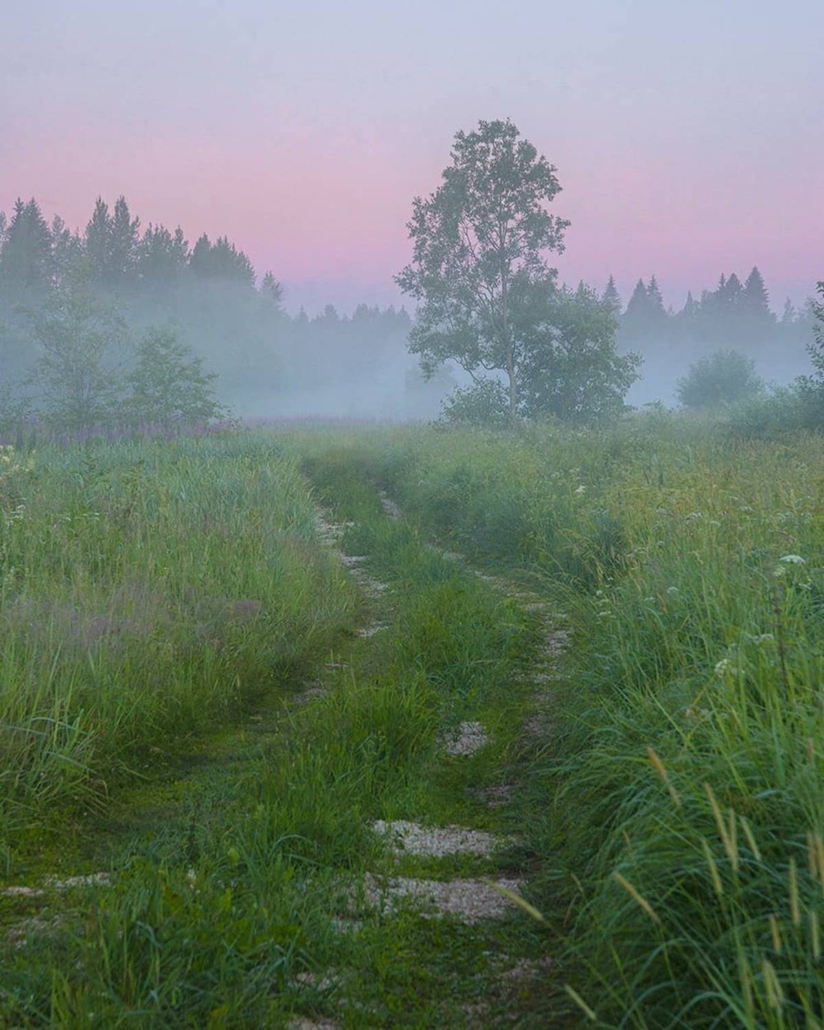 , Петр Косых