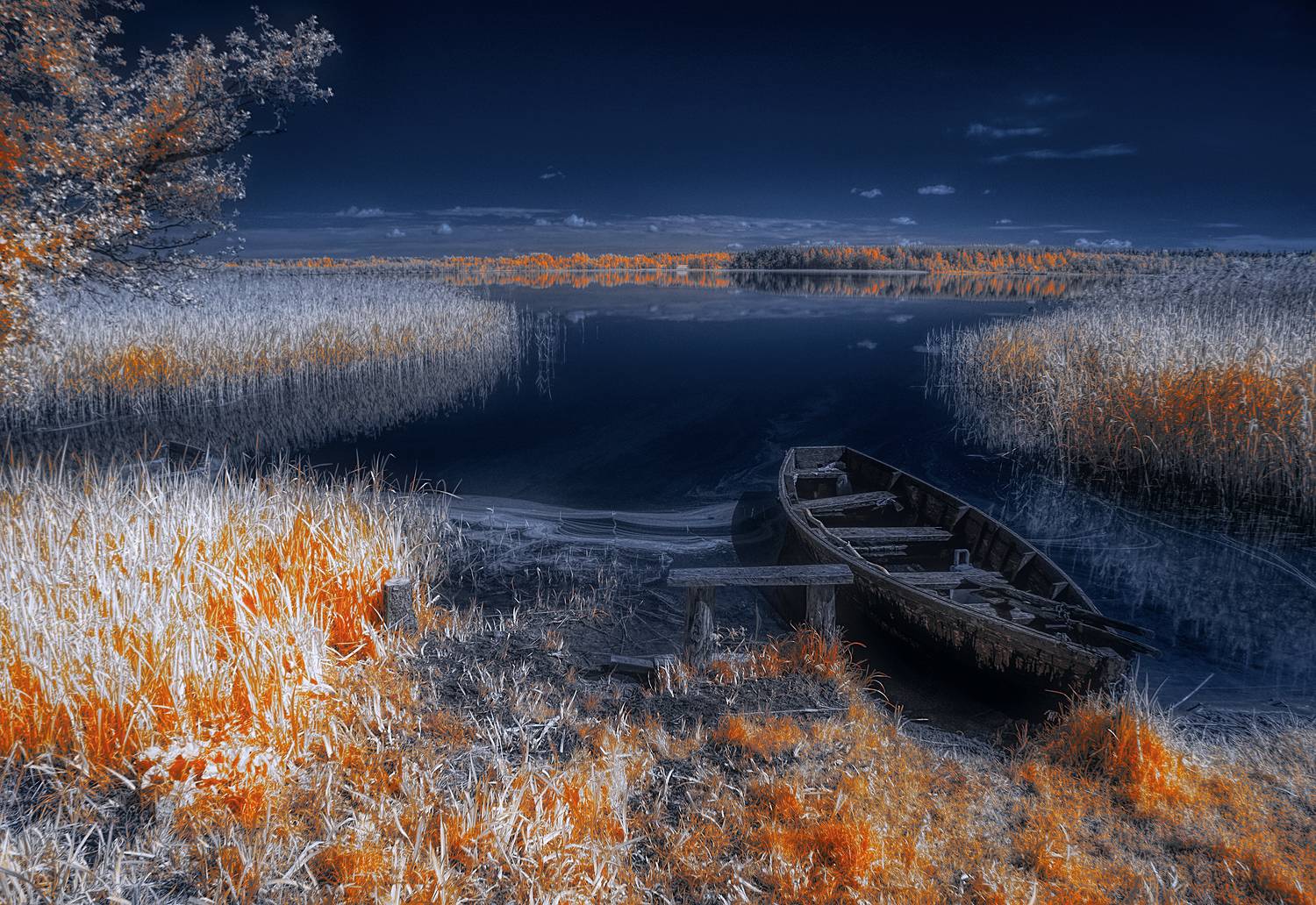 infrared,ик-фото,инфракрасное фото, инфракрасная фотография, пейзаж, лето,  Sixten (Сергей)