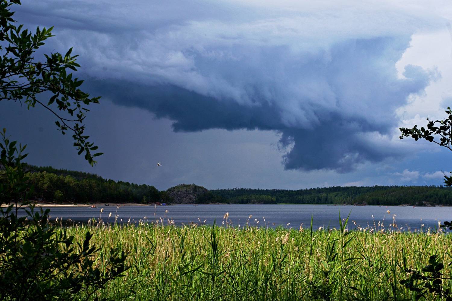 , Екатерина Тумовская