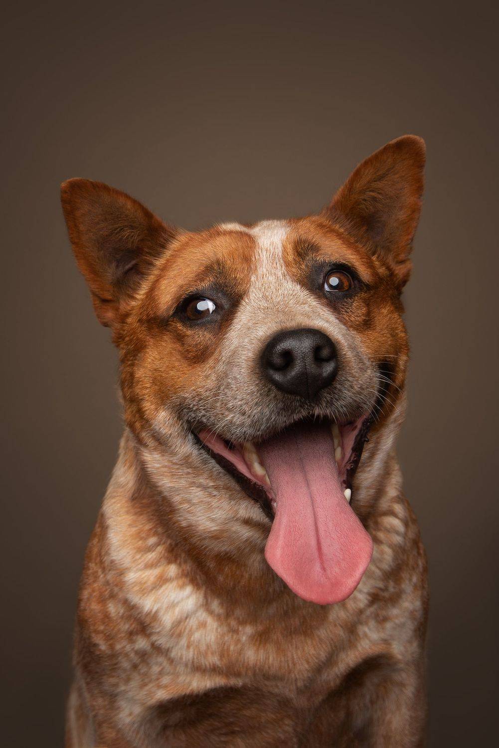 , Юлия Гончар