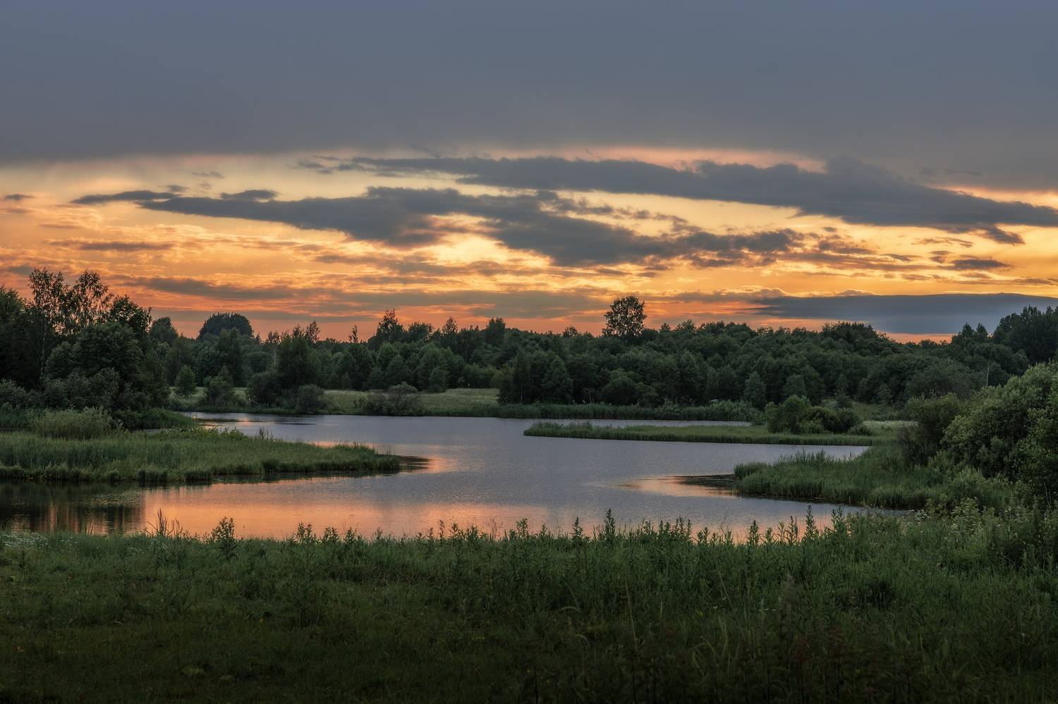 тверская, область, Елена Гусева