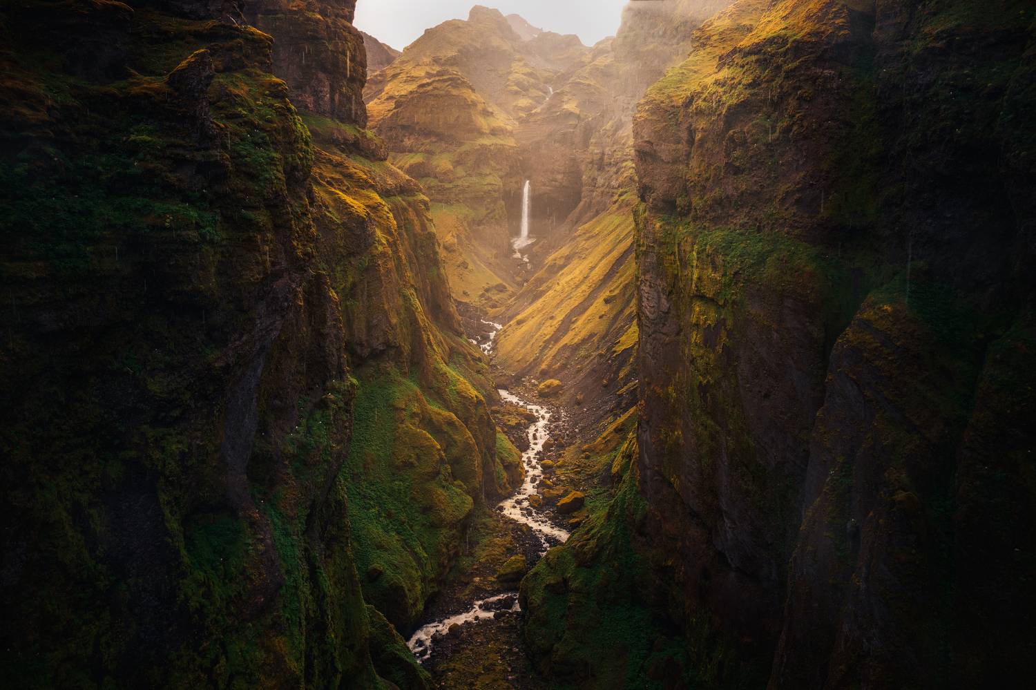 , Lyubomir Momchilov