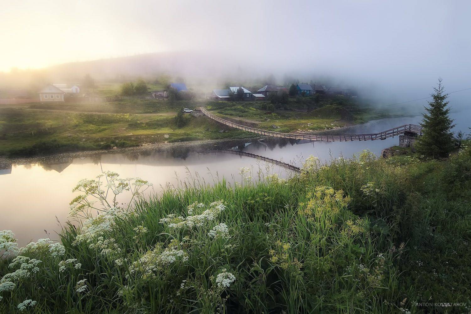 , Антон Кошетаров