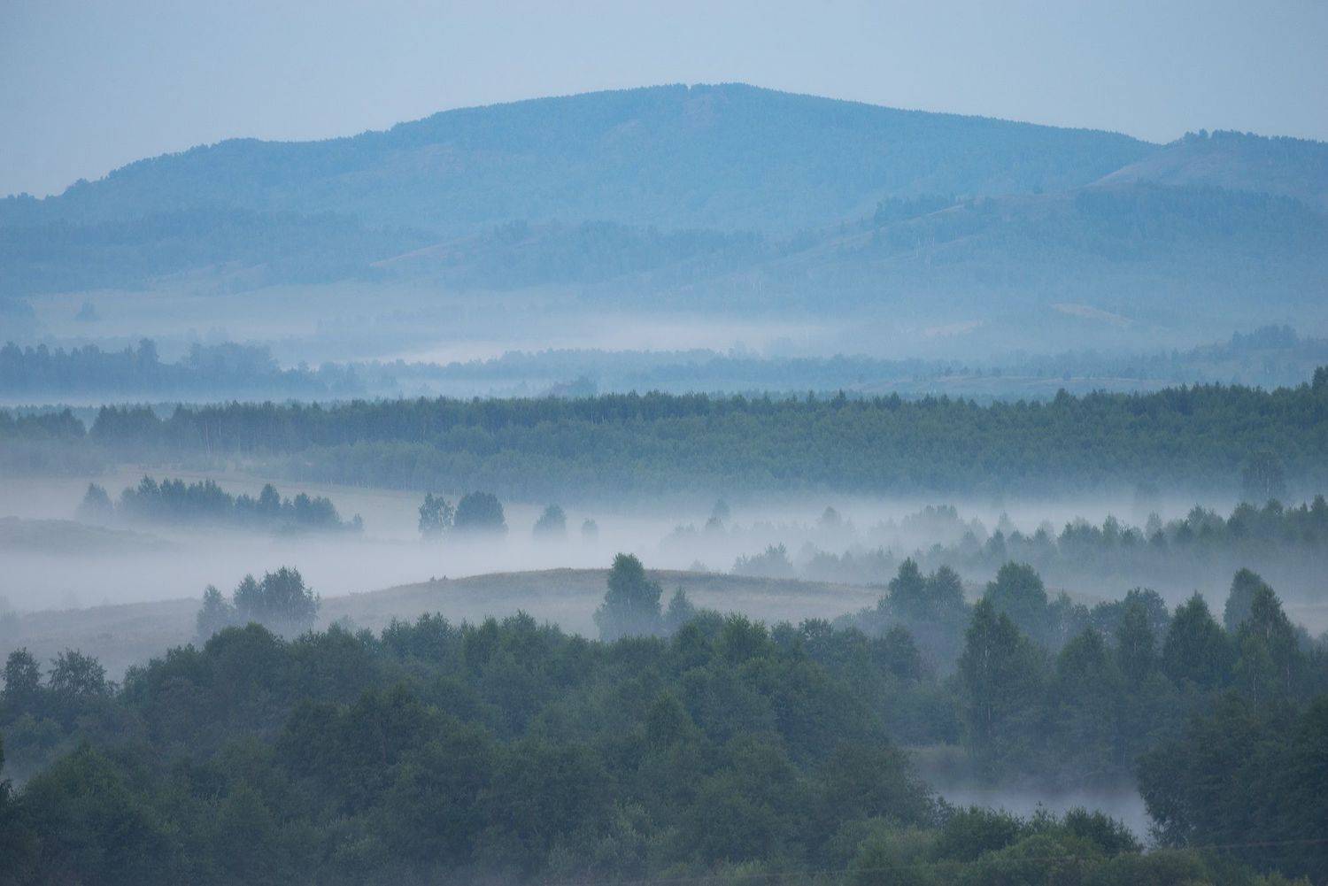 , Дмитрий Жучков