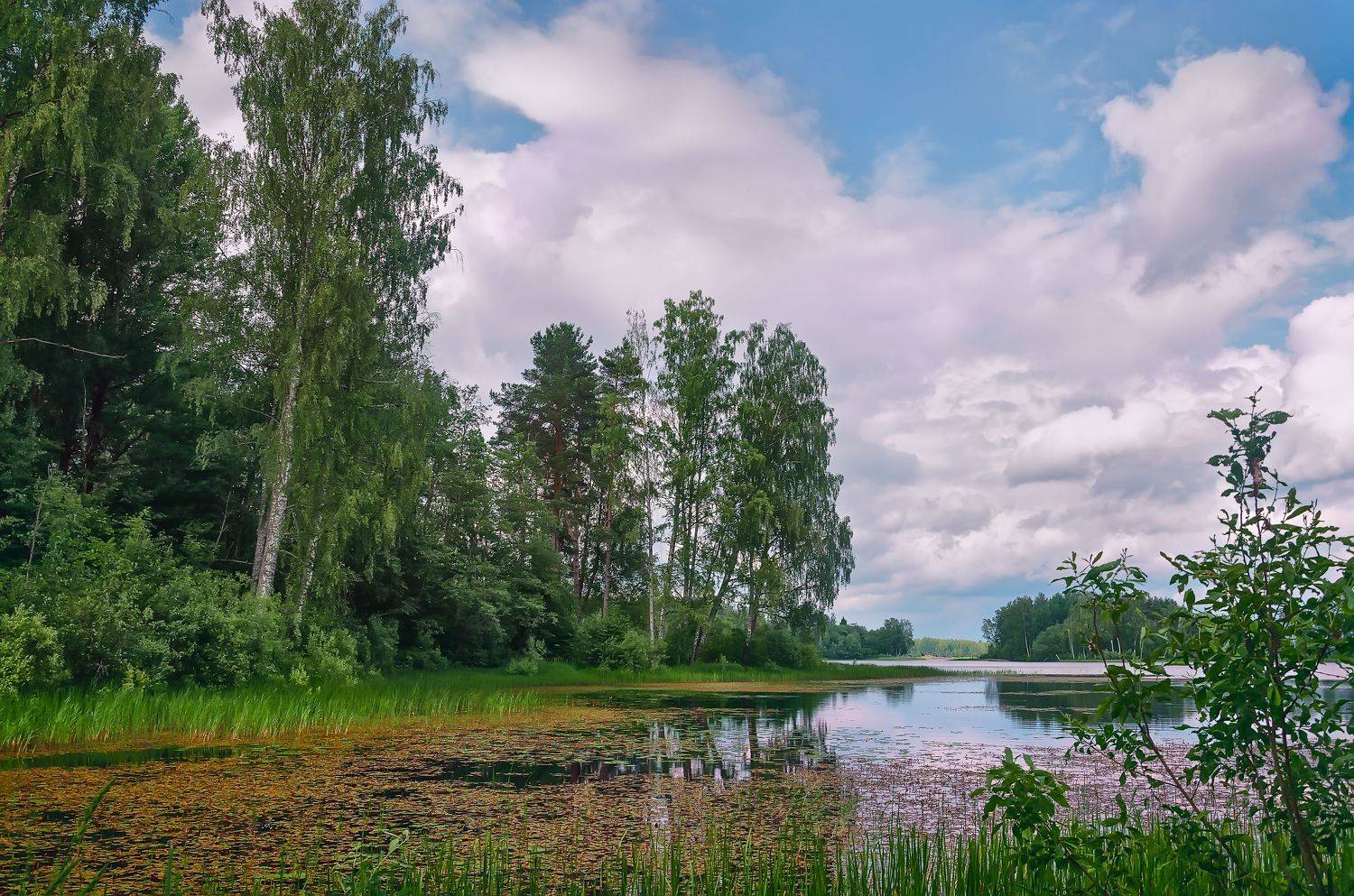 nevant60, пейзаж, красота, природа, Александр Березуцкий