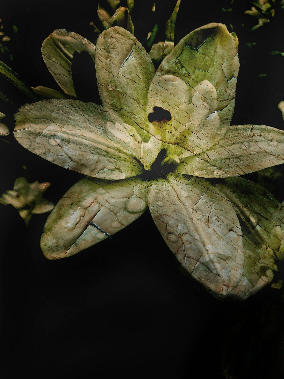 , Семёновых Александр