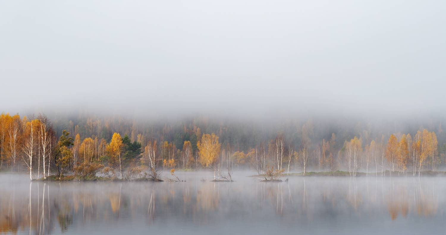 Ангара, река, туман, остров, баклан, осень, Павлов Дмитрий
