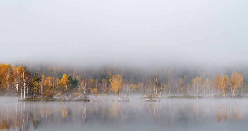 Ангара, река, туман, остров, баклан, осень Туман над Ангарой фото превью