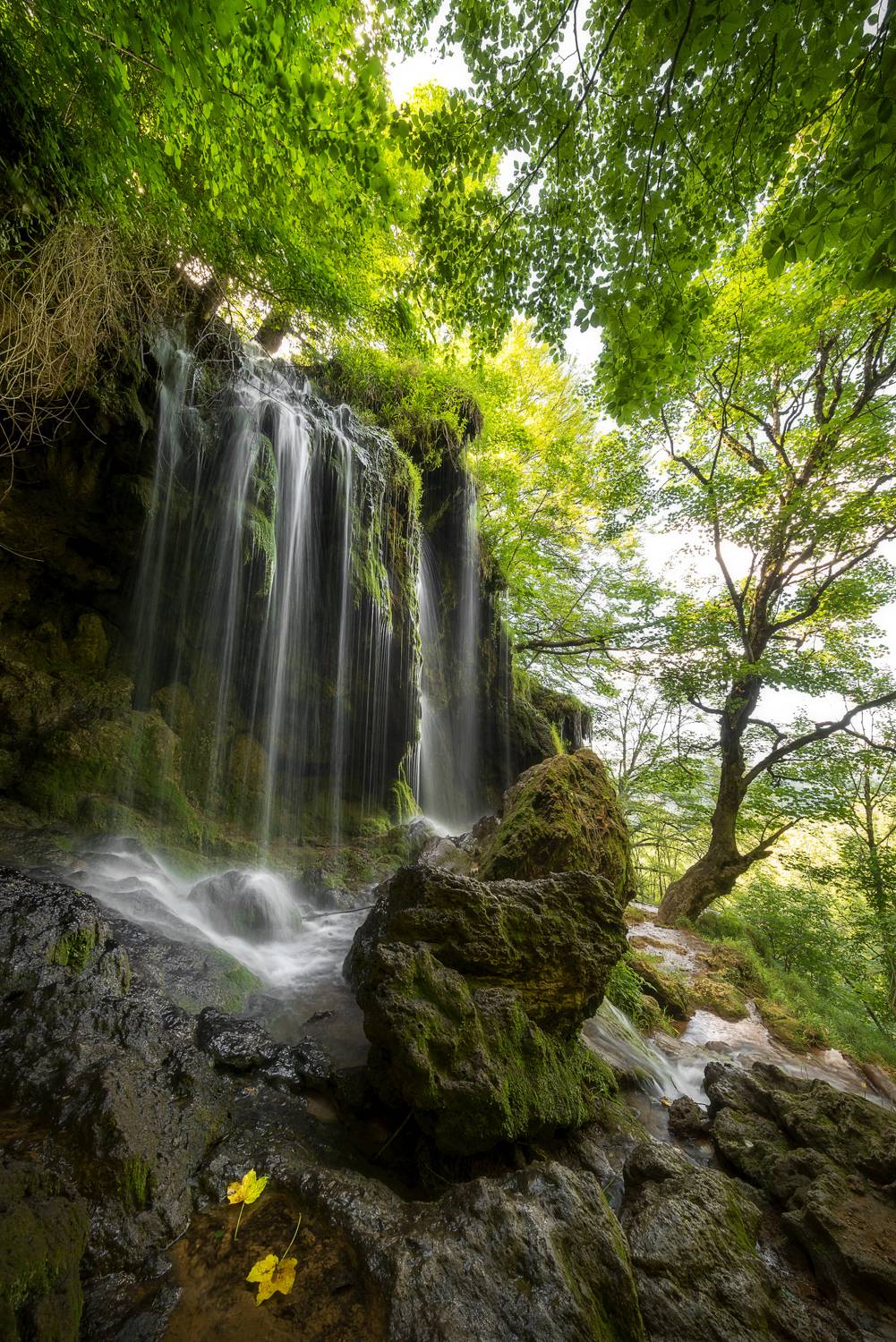 , Mariyana Atanasova - Lucero