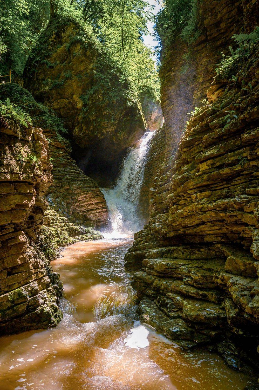 , Караваев Антон