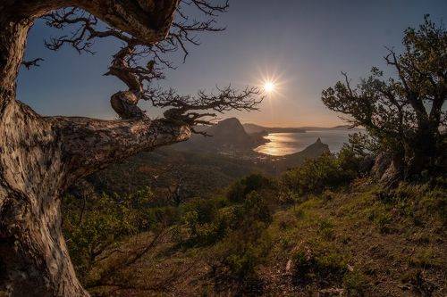 Над Новым Светом