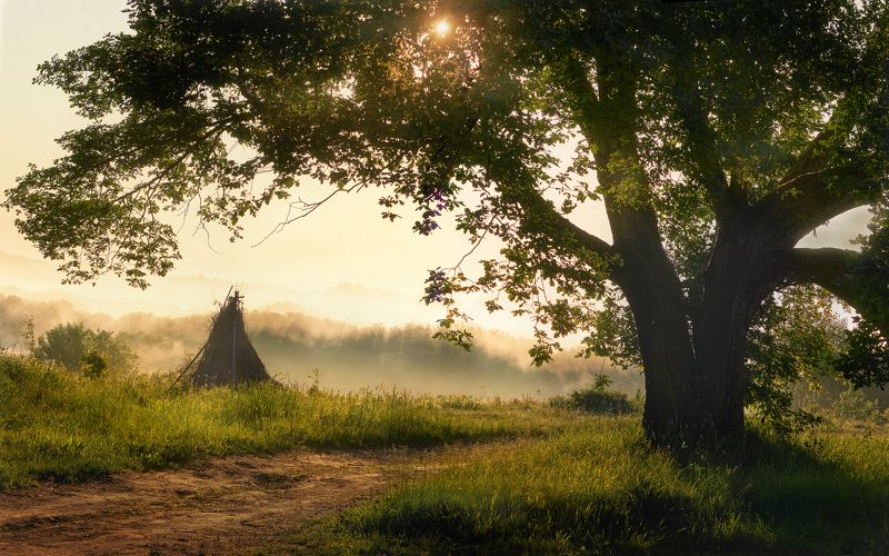 Рассвет, Кинодеревня, Псковская обл., июнь 2023 фото превью