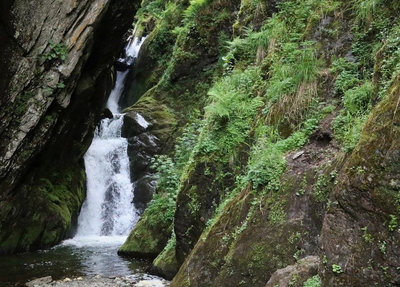 водопадэстюбэ,природа,алтай Водопад Эстюбэ на Телецком озере фото превью