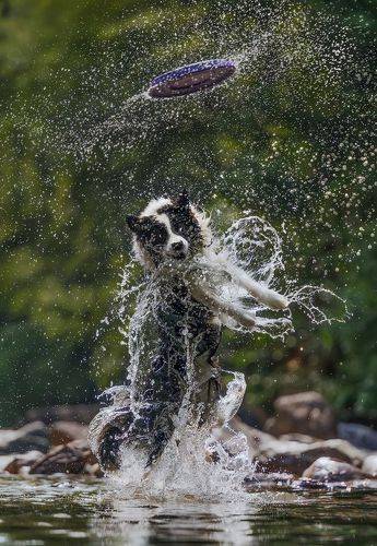 good jump